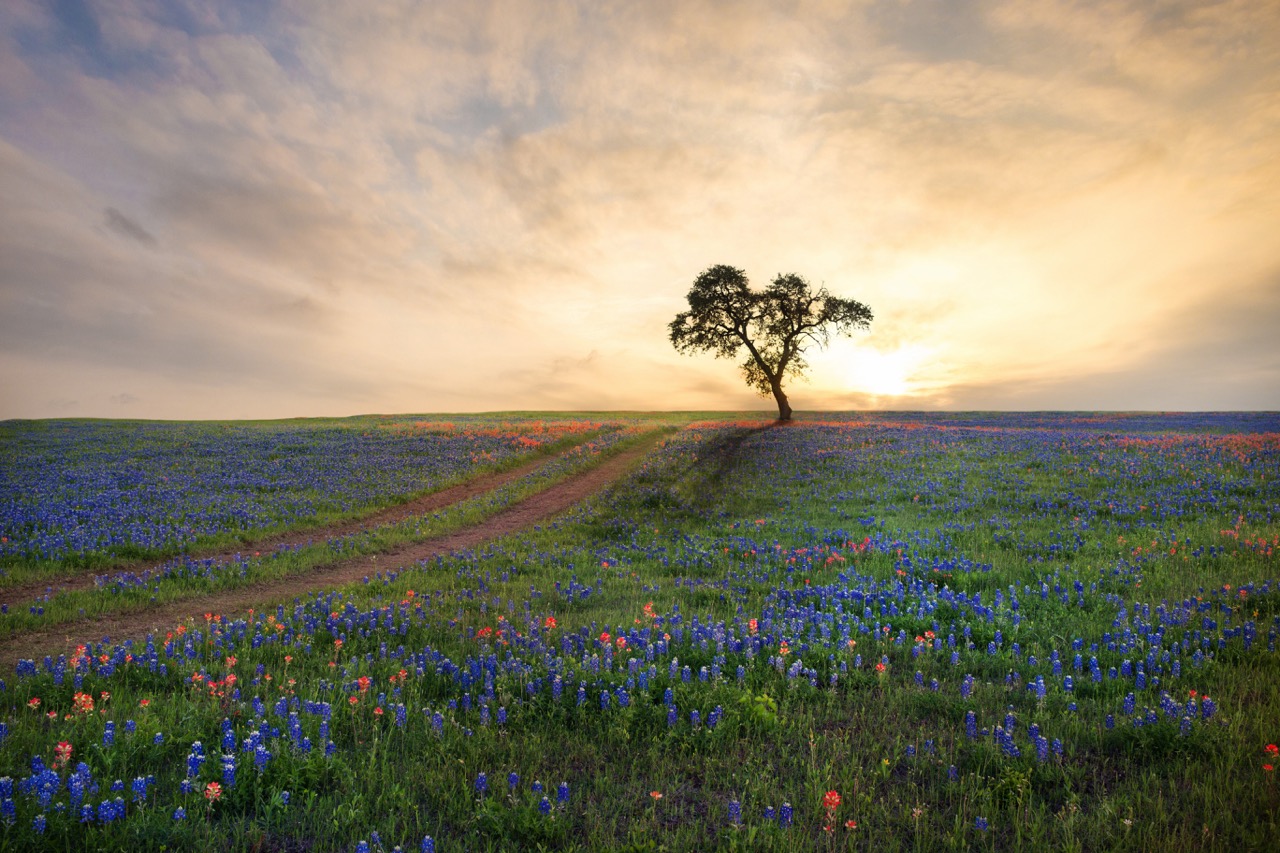 The Best Electric Companies in Central Texas